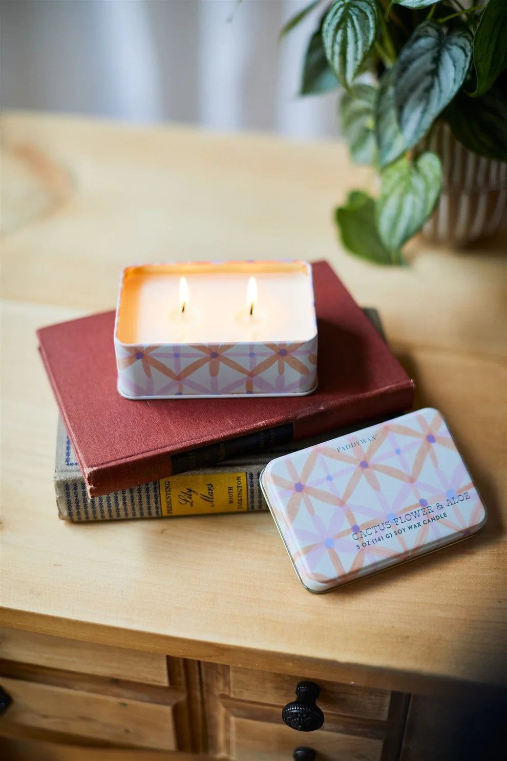 Everyday Tin - Cactus Flower & Aloe