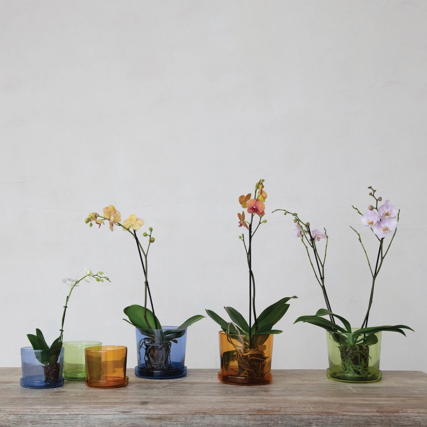 Pot Jardinière en Verre