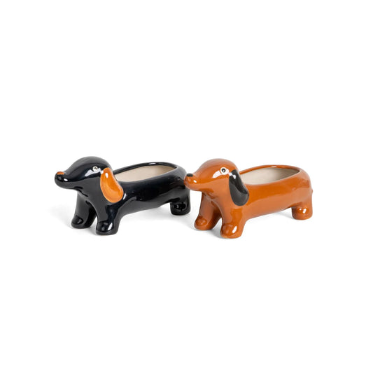 Pot Dachshund
