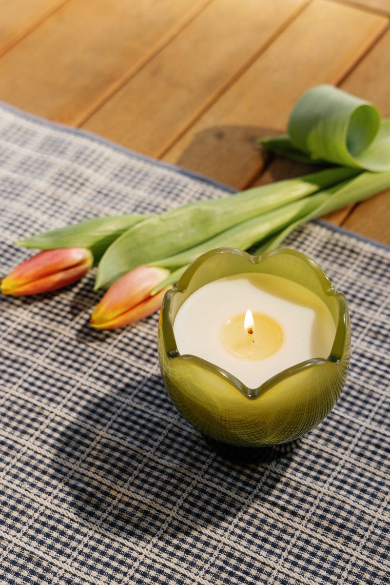 Bougie Tulip - Verbana & Lemongrass